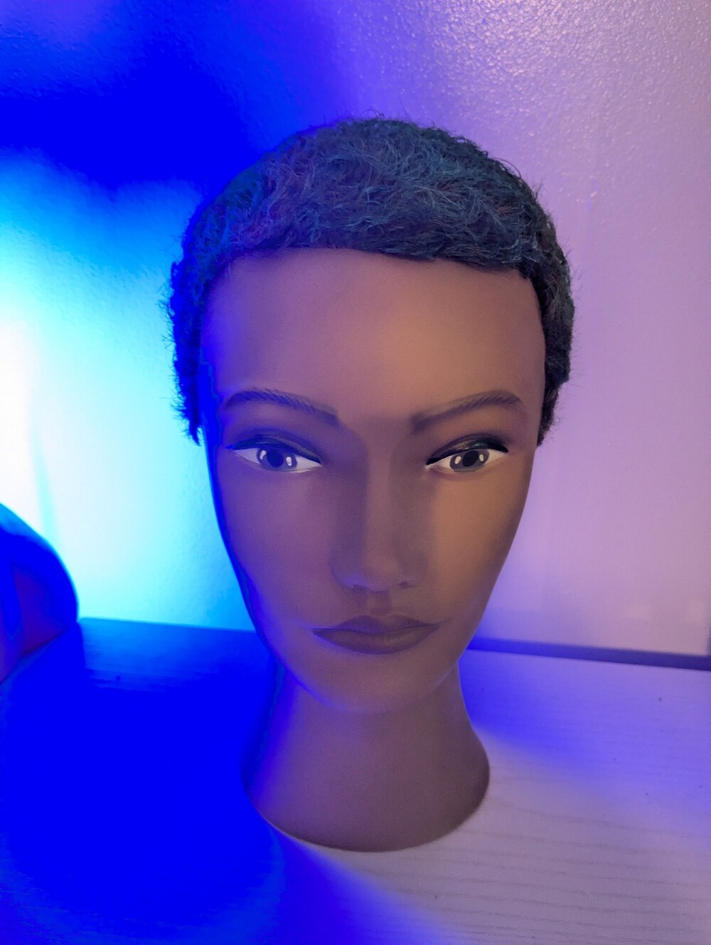 Short Curly Women’s Wig / Cosmetology Head With Teal Hair - Lightweight Style